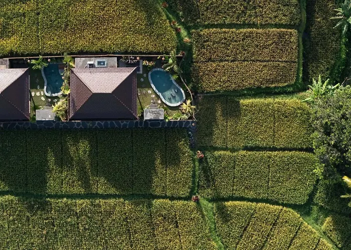 Sawah Sebatu Вилла *