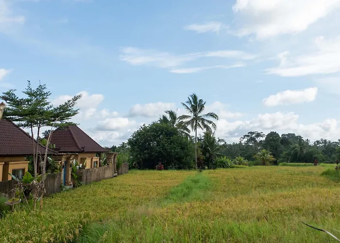 Sawah Sebatu Villa