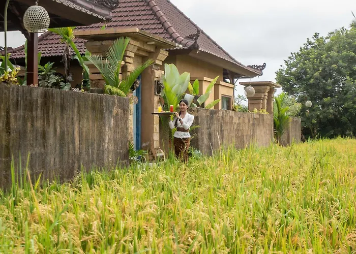 Sawah Sebatu * Ubud