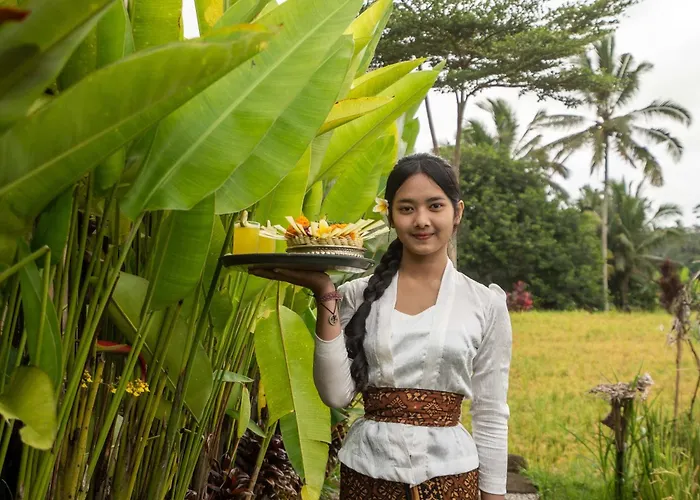 Sawah Sebatu Villa Ubud